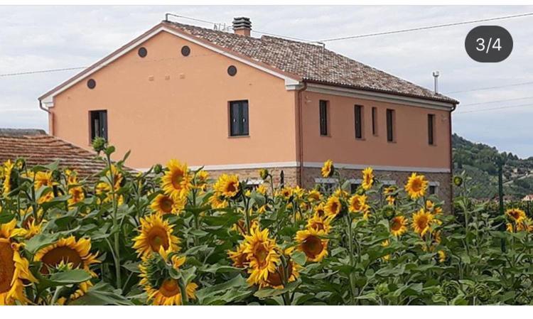 La Dolce Vita Porto Recanati Exterior photo
