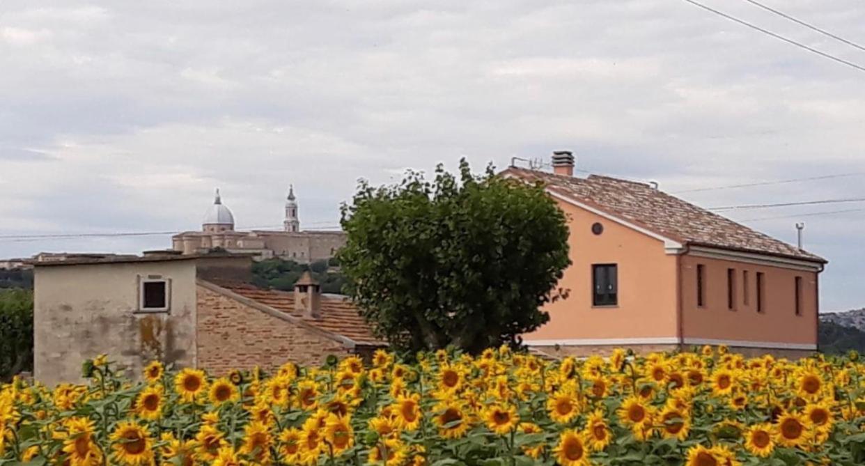 La Dolce Vita Porto Recanati Exterior photo